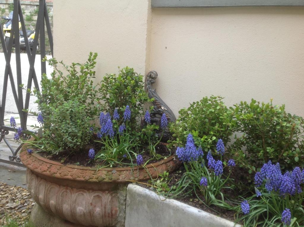 Al Giardino Delle Rose Affittacamere 3*